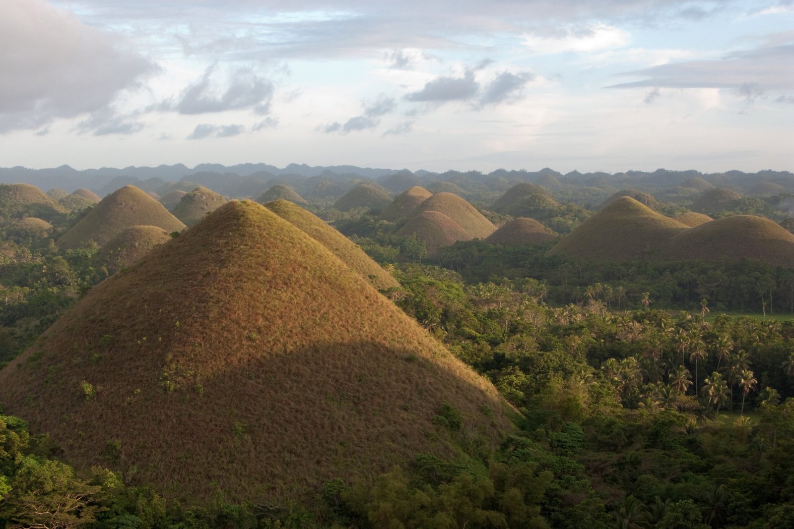 Bohol