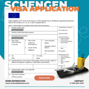 visa application sample